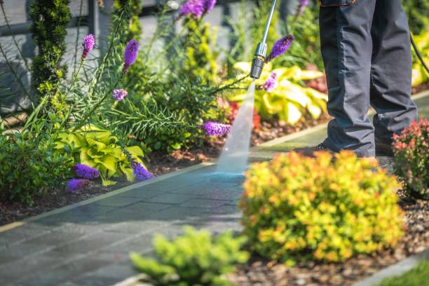 Professional Pressure Washing Services in Lakewood, NY